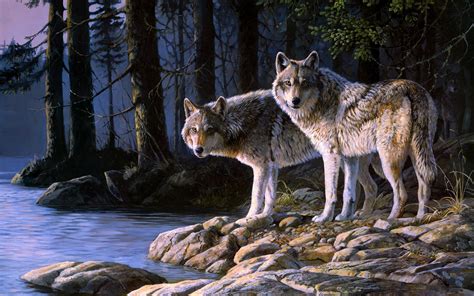 Download the best wolf wallpapers backgrounds for free. Majestic Wolf Wallpaper ·① WallpaperTag