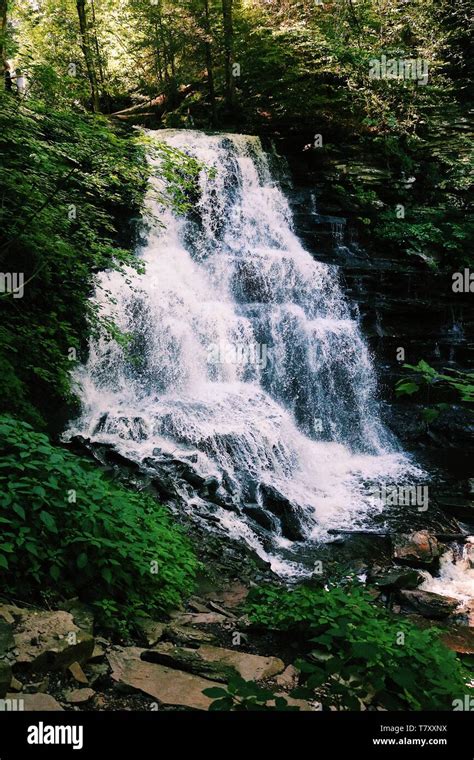 Waterfalls In Glen Ricketts State Park Pa Stock Photo Alamy