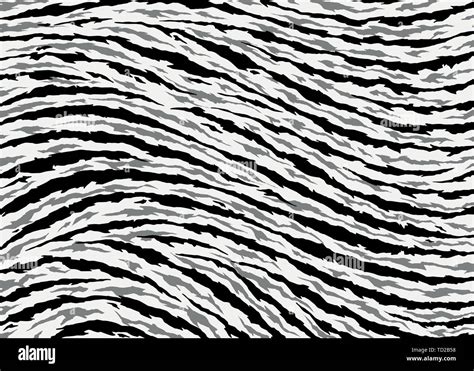 Abstract Tiger Skin Pattern Design Tiger Stripes Vector Illustration