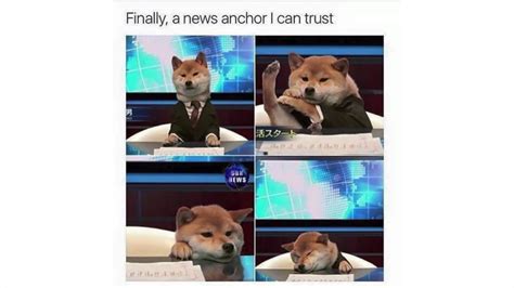 Lil Doggo News Meme By Diego4104 Memedroid
