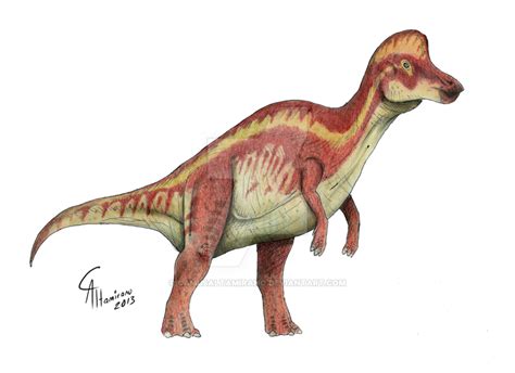 Image Corythosaurus Casuarius By Camusaltamirano D67wx8hpng