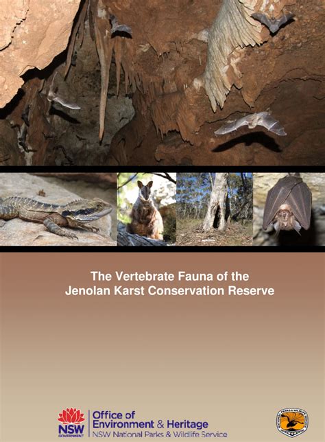 Pdf The Vertebrate Fauna Of The Jenolan Karst Conservation Reserve
