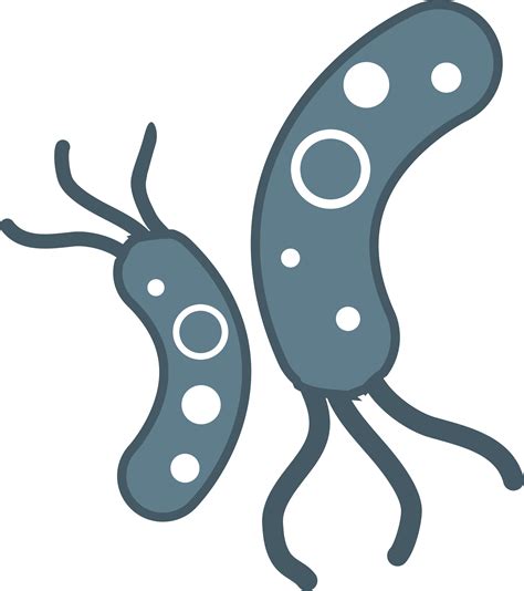 Bacteria Png