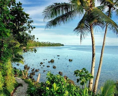 Romantic View Of Taveuni The Third Largest Island In Fiji 10 Hidden