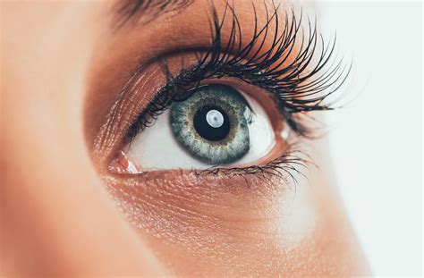 How Does The Human Eye Work Detail Blog Post Iris