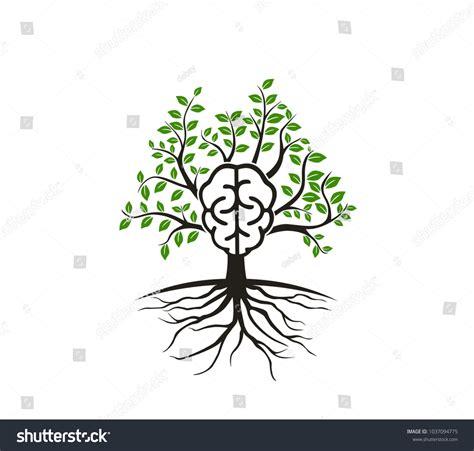 Brain Tree Logo Stock Vector Royalty Free 1037094775 Shutterstock