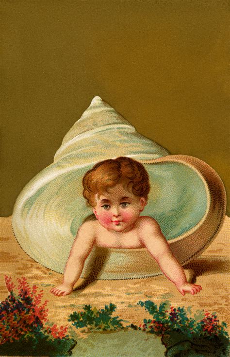 Vintage Shell Baby Image The Graphics Fairy