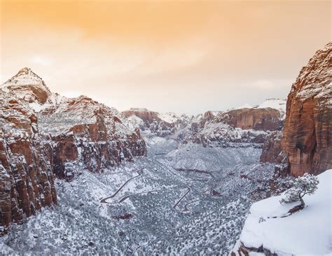 Why You Definitely Need To Visit Zion National Park In Winter — Walk My