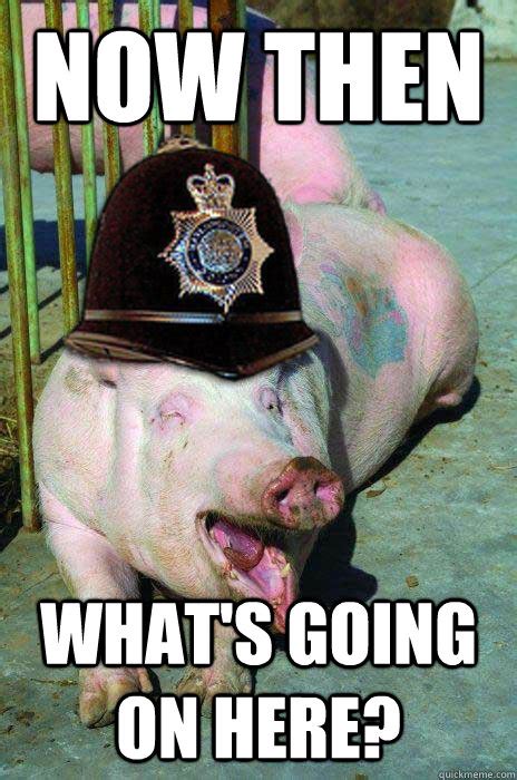 What's going on (book), a 1997 book collection by nathan mccall. Now Then What's Going On The Here Funny Pig Meme