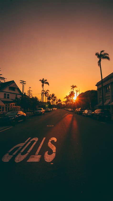 Download Wallpaper 2160x3840 Street Sunset Palm Trees Road Road