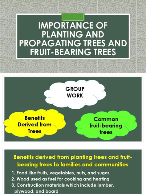 Importance Of Planting And Propagating Trees And Fruit Bearing