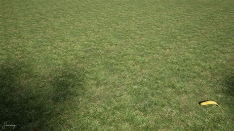 Textures Lawn Grass 2k4k