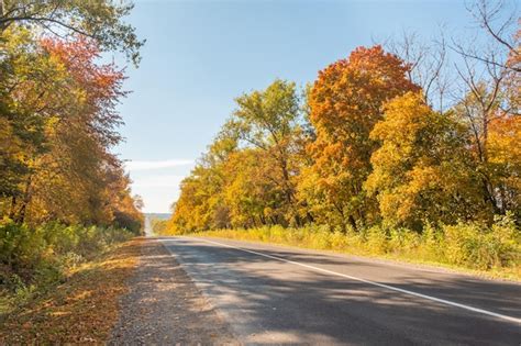 Premium Photo Asphalt Road And Bright Autumn Trees Fairytale Colorful