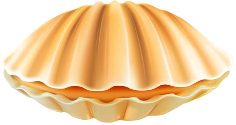 Clam Clipart Closed Clam Closed Transparent Free For Download On