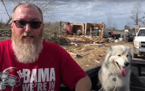 Dog Rescued From Alabama Tornado Wreckage Uninjured Pet Rescue Report