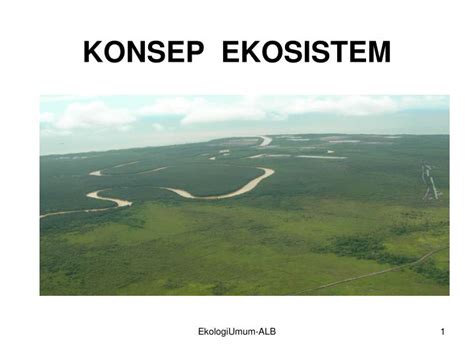 PPT - KONSEP EKOSISTEM PowerPoint Presentation, free download - ID:4197390