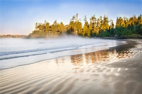 Excursie Canada Vancouver Island Beren Spotten Bij Tofino 333travel