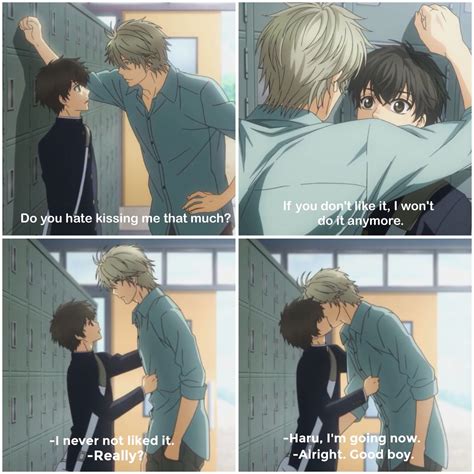 super lovers ren and haru