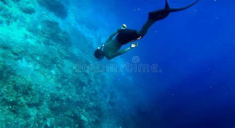 Diving Without Suit Editorial Stock Photo Image Of Sports 201950518
