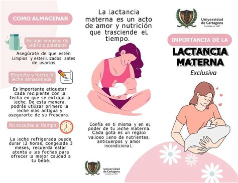 Folleto Lactancia Materna Imagenes De Lactancia Materna Lactancia Sexiz Pix