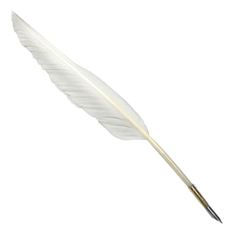 Feather Quill Writing
