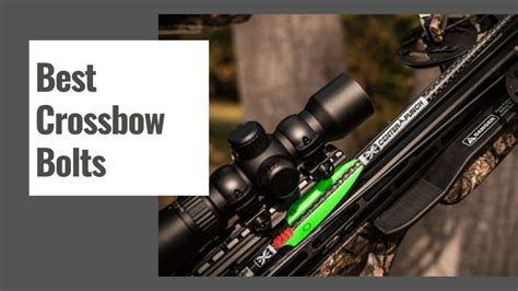 10 Best Crossbow Bolts For Deer Hunting In 2023 Buying Guide