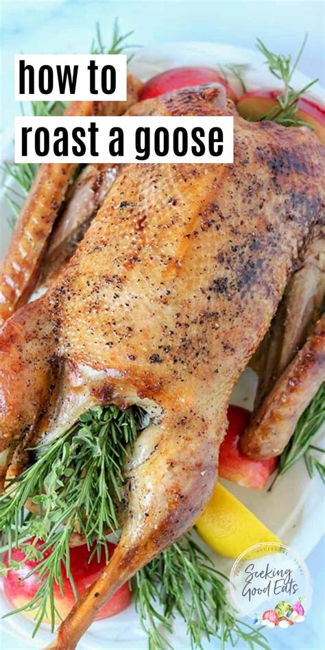 How To Roast A Goose Christmas Goose Recipe Seeking Good Eats