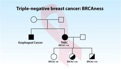 Triple Negative Breast Cancer Brcaness Positive Bioscience