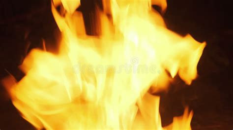 Fire Flames On A Black Background In Slow Motion Bonfire Burning At
