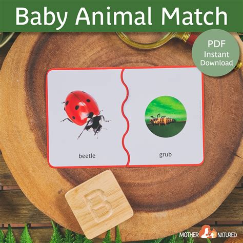 Baby Animal Match Cards Adult And Baby Animal Matching Cards Printable