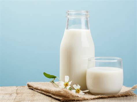 6 Incredible Benefits Of Drinking Cows Milk Times Of India