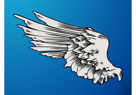 Angel Wing Graphics Download Free Vector Art Stock Graphics And Images