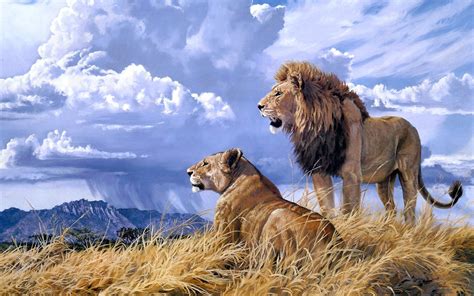 46 African Wildlife Desktop Wallpaper Wallpapersafari
