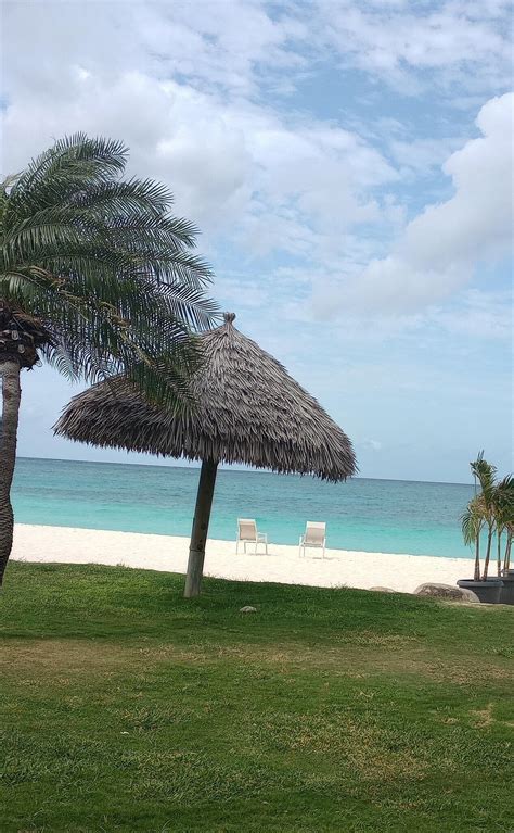 Divi Aruba All Inclusive Updated 2022 Prices And Resort All Inclusive
