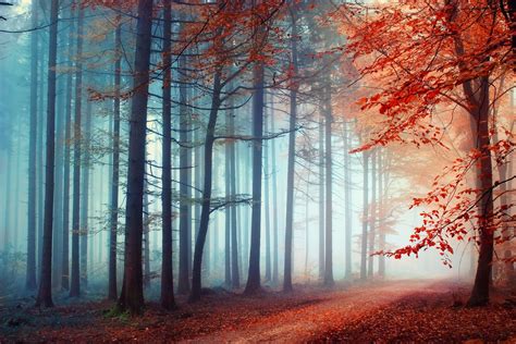 Fog Of Autumn By Inviv0 500px Landscape Pictures Cool Landscapes