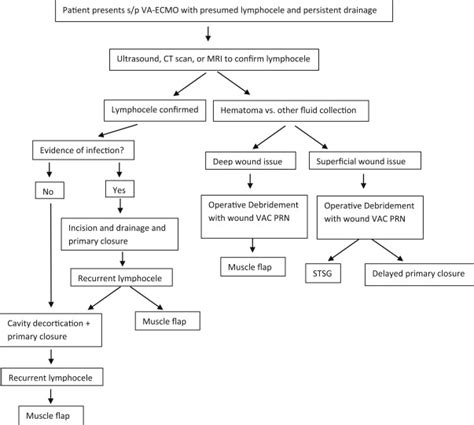 Incidence And Risk Factors Of Groin Lymphocele Formation After Venoarterial Extracorporeal