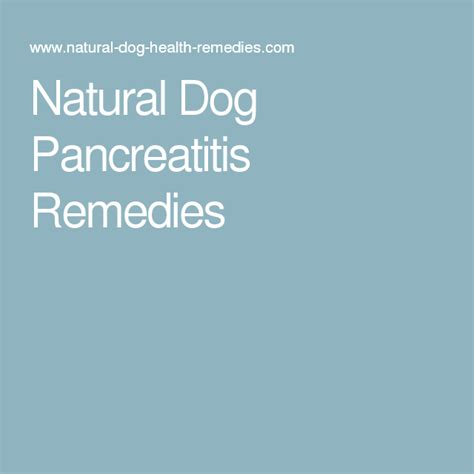 Royal canin veterinary diet gastrointestinal low fat canned dog food. Dog Pancreatitis Remedies, Supplements and Diet | Dogs health remedies, Natural dog health ...