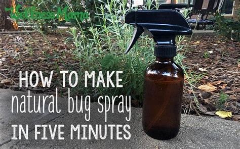 Homemade Bug Spray Recipes That Work Wellness Mama Bug Spray Recipe