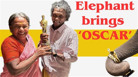 Heroes Of Oscar Winning Elephant Whisperer Bomman And Bellie 🐘🐘