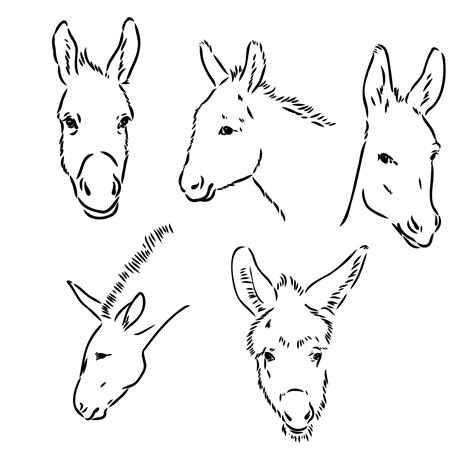 Donkey Vector Sketch 36440467 Vector Art At Vecteezy