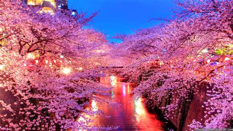 Pretty Japanese Wallpapers Top Free Pretty Japanese Backgrounds