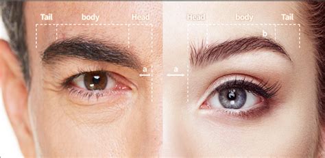 eyebrows male vs female root hair transplant clinic