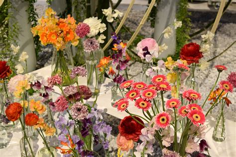 Rhs Chelsea Flower Show 2020 Goes Online With Virtual Chelsea