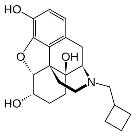 Filenalbuphinesvg Wikimedia Commons