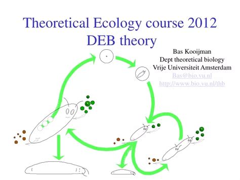 Ppt Theoretical Ecology Course 2012 Deb Theory Powerpoint