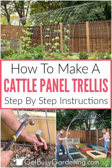 Cattle Panel Trellis Diy How To Make An Arch Tunnel For Your Garden