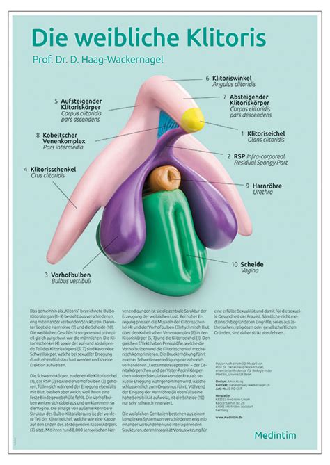 Poster Clitoris Plus Kessel Medintim