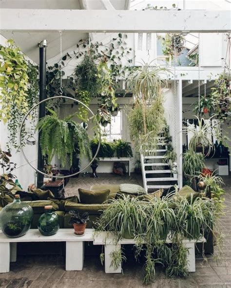 Discover What Biophilia Is And How To Include It In Your Home