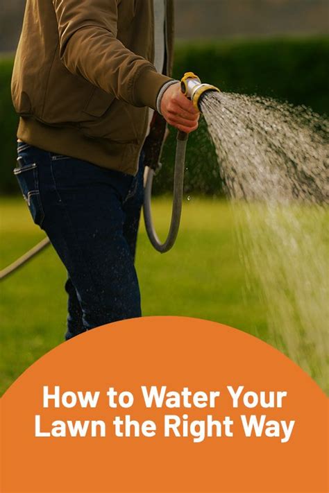 🤨💦🧡not Sure What The Best Way To Water Your Lawn Is Youll Be