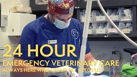24 Hour Emergency Veterinary Care in North Vancouver - Here when your